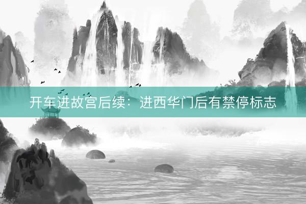 开车进故宫后续：进西华门后有禁停标志