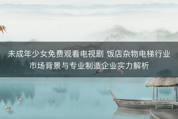 未成年少女免费观看电视剧 饭店杂物电梯行业市场背景与专业制造企业实力解析