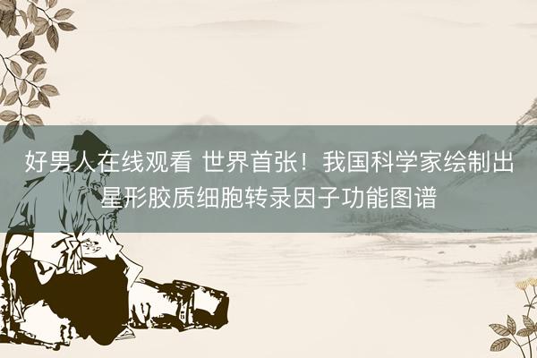 好男人在线观看 世界首张！我国科学家绘制出星形胶质细胞转录因子功能图谱