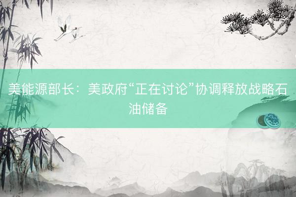 美能源部长：美政府“正在讨论”协调释放战略石油储备