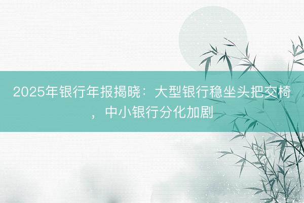 2025年银行年报揭晓：大型银行稳坐头把交椅，中小银行分化加剧