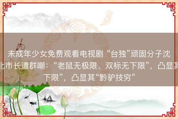 未成年少女免费观看电视剧 “台独”顽固分子沈伯洋参选台北市长遭群嘲：“老鼠无极限、双标无下限”，凸显其“黔驴技穷”