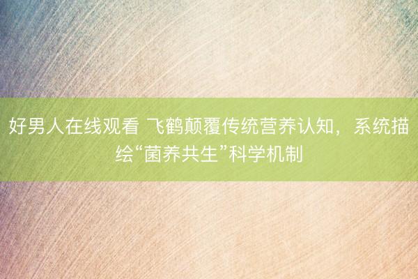 好男人在线观看 飞鹤颠覆传统营养认知，系统描绘“菌养共生”科学机制