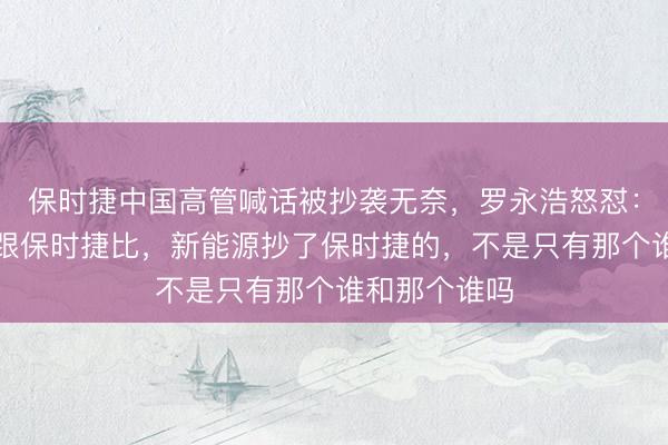 保时捷中国高管喊话被抄袭无奈，罗永浩怒怼：论流氓谁能跟保时捷比，新能源抄了保时捷的，不是只有那个谁和那个谁吗