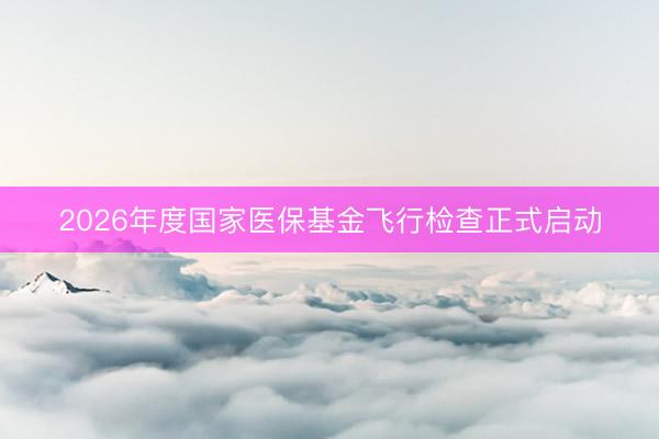2026年度国家医保基金飞行检查正式启动