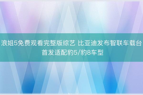 浪姐5免费观看完整版综艺 比亚迪发布智联车载台 首发适配豹5/豹8车型
