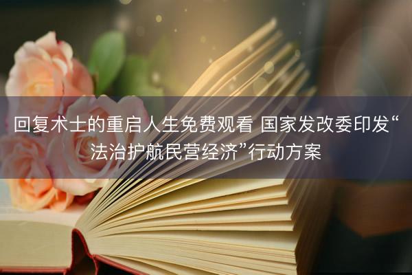 回复术士的重启人生免费观看 国家发改委印发“法治护航民营经济”行动方案