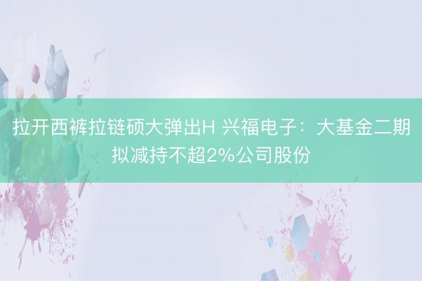 拉开西裤拉链硕大弹出H 兴福电子：大基金二期拟减持不超2%公司股份