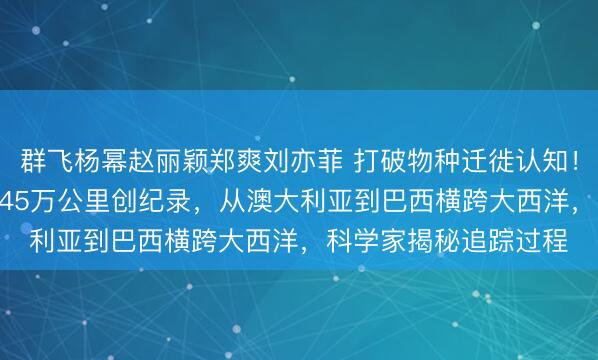 群飞杨幂赵丽颖郑爽刘亦菲 打破物种迁徙认知！两头座头鲸反向游1.45万公里创纪录，从澳大利亚到巴西横跨大西洋，科学家揭秘追踪过程