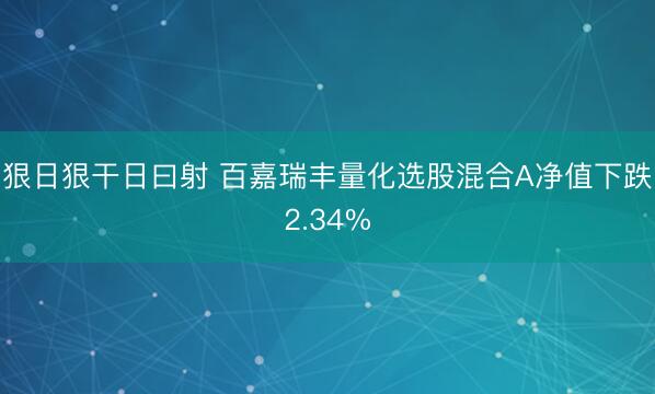 狠日狠干日曰射 百嘉瑞丰量化选股混合A净值下跌2.34%