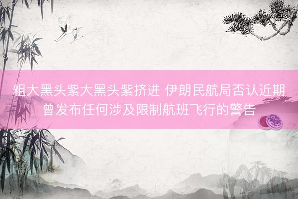 粗大黑头紫大黑头紫挤进 伊朗民航局否认近期曾发布任何涉及限制航班飞行的警告