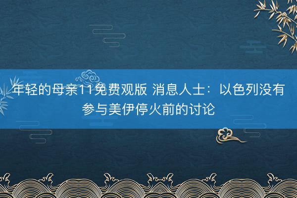 年轻的母亲11免费观版 消息人士：以色列没有参与美伊停火前的讨论