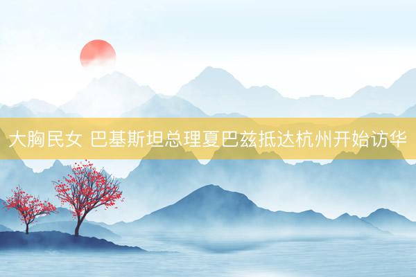 大胸民女 巴基斯坦总理夏巴兹抵达杭州开始访华