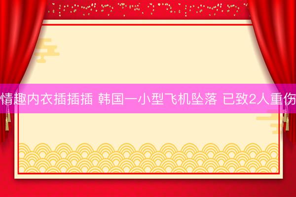 情趣内衣插插插 韩国一小型飞机坠落 已致2人重伤