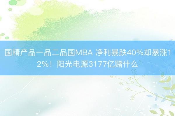 国精产品一品二品国MBA 净利暴跌40%却暴涨12%！阳光电源3177亿赌什么