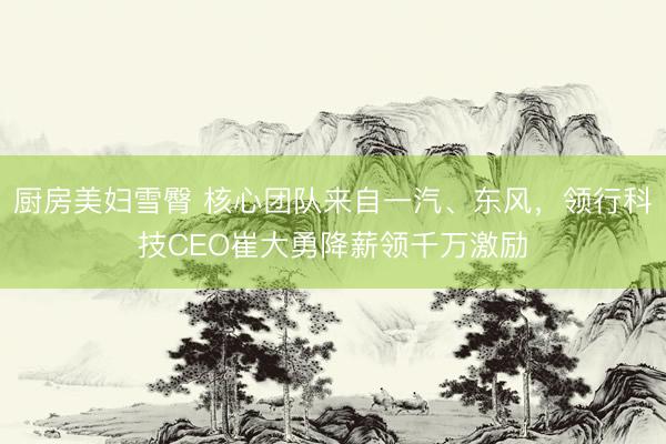 厨房美妇雪臀 核心团队来自一汽、东风，领行科技CEO崔大勇降薪领千万激励