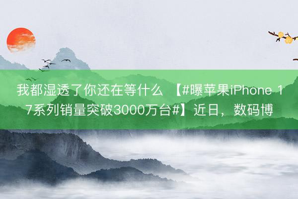 我都湿透了你还在等什么 【#曝苹果iPhone 17系列销量突破3000万台#】近日，数码博