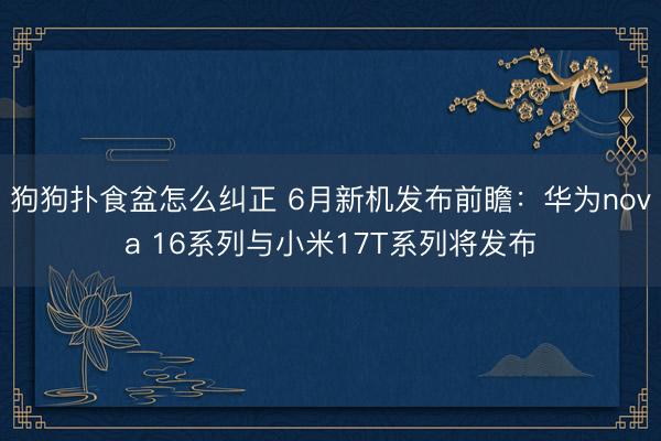 狗狗扑食盆怎么纠正 6月新机发布前瞻：华为nova 16系列与小米17T系列将发布