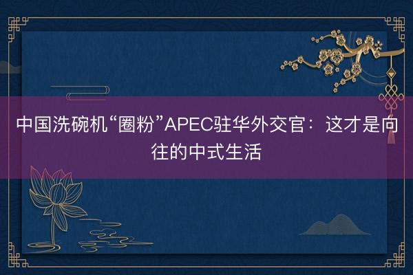 中国洗碗机“圈粉”APEC驻华外交官：这才是向往的中式生活