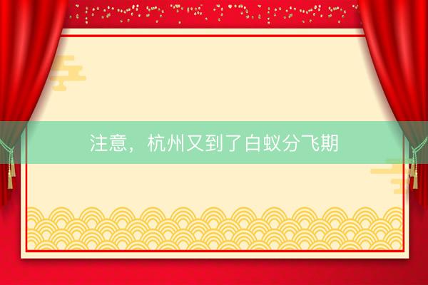 注意，杭州又到了白蚁分飞期