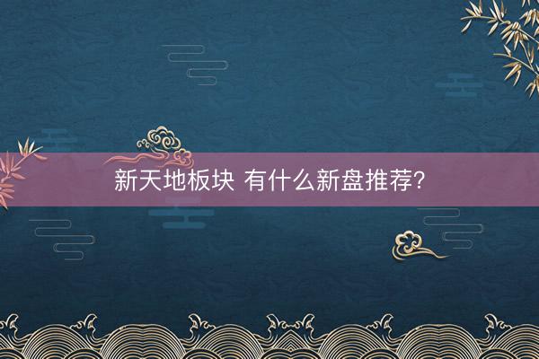 新天地板块 有什么新盘推荐？