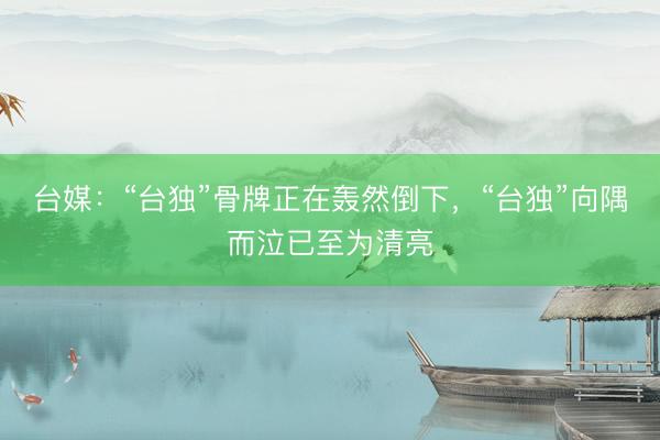 台媒：“台独”骨牌正在轰然倒下，“台独”向隅而泣已至为清亮
