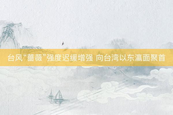 台风“蔷薇”强度迟缓增强 向台湾以东瀛面聚首