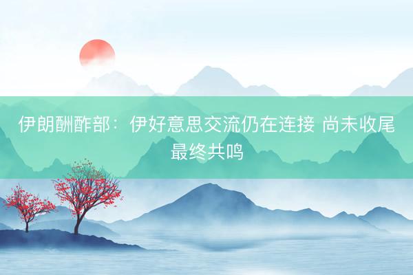 伊朗酬酢部：伊好意思交流仍在连接 尚未收尾最终共鸣