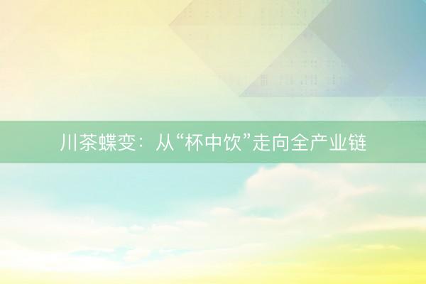 川茶蝶变：从“杯中饮”走向全产业链