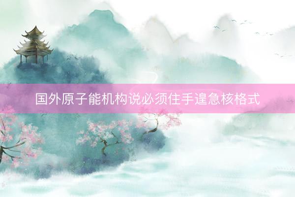 国外原子能机构说必须住手遑急核格式