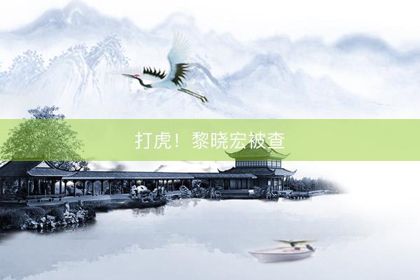 打虎！黎晓宏被查