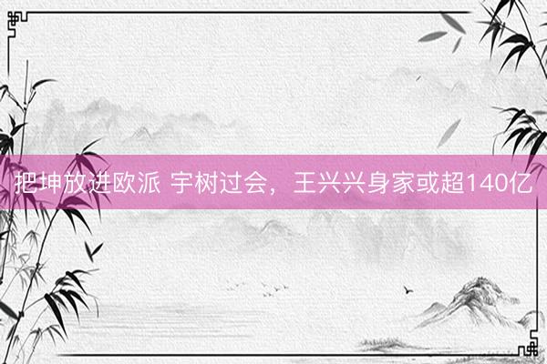 把坤放进欧派 宇树过会，王兴兴身家或超140亿