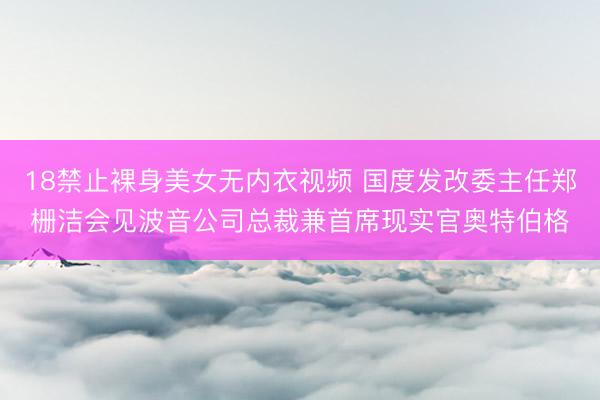 18禁止裸身美女无内衣视频 国度发改委主任郑栅洁会见波音公司总裁兼首席现实官奥特伯格