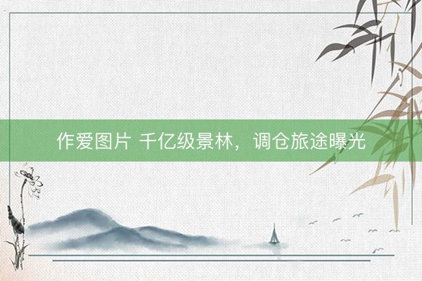 作爱图片 千亿级景林，调仓旅途曝光