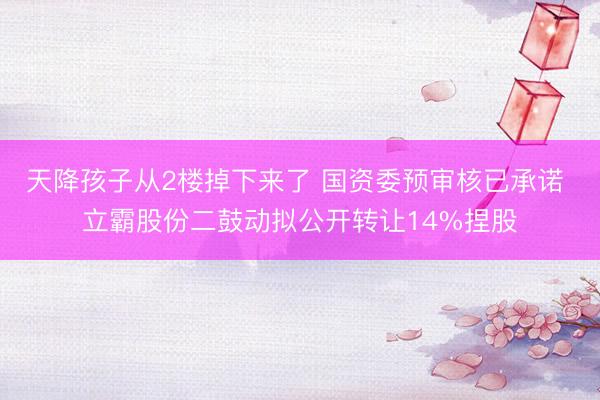 天降孩子从2楼掉下来了 国资委预审核已承诺 立霸股份二鼓动拟公开转让14%捏股