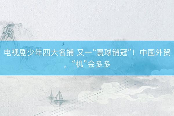 电视剧少年四大名捕 又一“寰球销冠”！中国外贸，“机”会多多