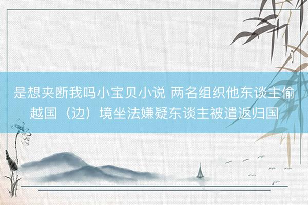 是想夹断我吗小宝贝小说 两名组织他东谈主偷越国（边）境坐法嫌疑东谈主被遣返归国