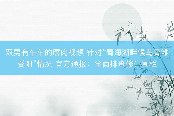 双男有车车的腐肉视频 针对“青海湖畔候鸟育雏受阻”情况 官方通报：全面排查修订围栏